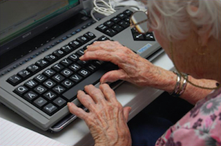 Web portal usage still encounters resistance from seniors: poll