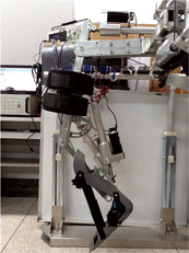 Robotic rehab tool gets to the knee of the matter