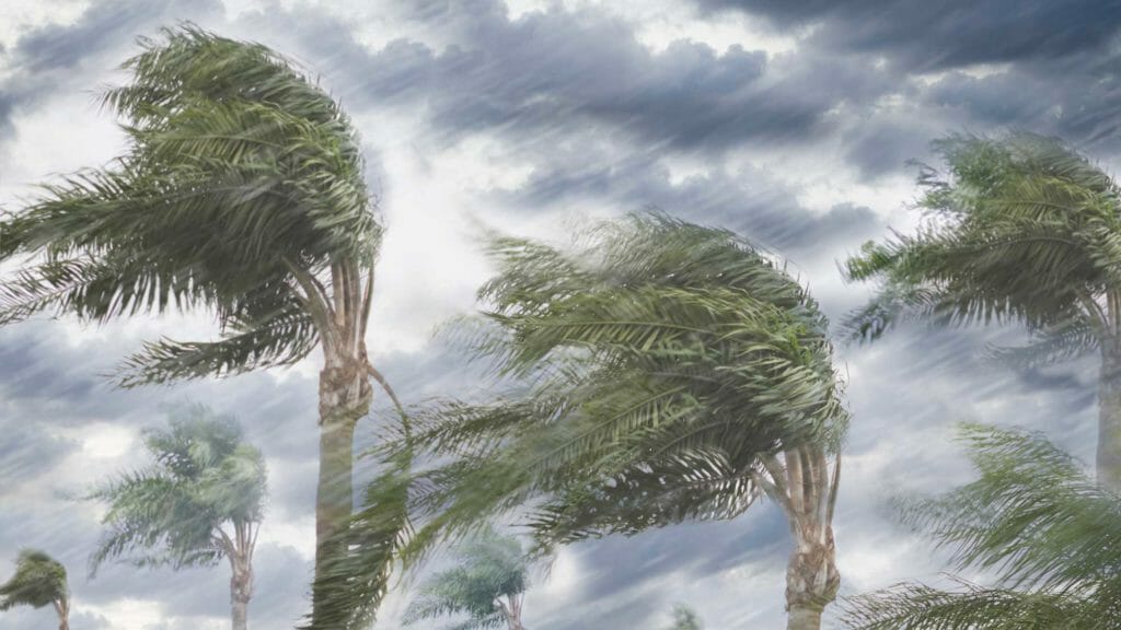 Hurricane threat heats up mandatory generator debate