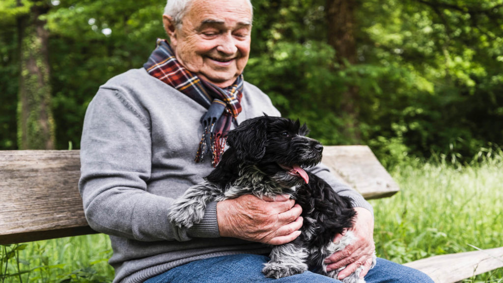 Dog days: Homebound seniors often putting pets’ needs before their own, research finds