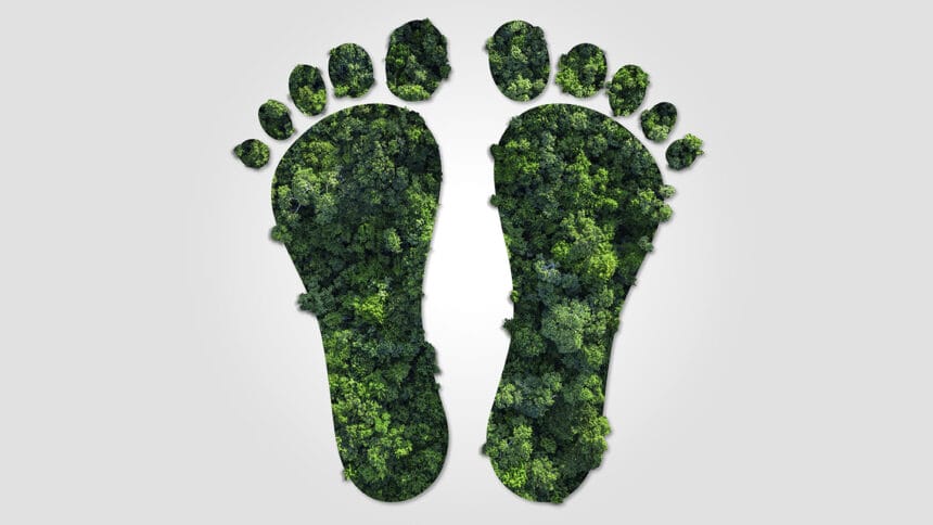 The artwork shows a tropical forest in the shape of two footprints. The composition visualizes the impact of human activity on the environment. Living in harmony with nature. Ecologically sustainable living. Environmentally friendly. Sustainable business. Global climate targets. Global warming.