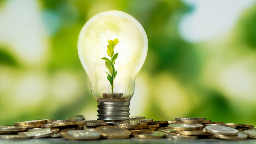 Close up photo of lightbulb with growing plant inside and coin stacks as a symbol of money saving. Concept of money, investment and startup business idea.